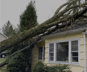 Emergency Roof repair NJ | Ashphalt shingles damage