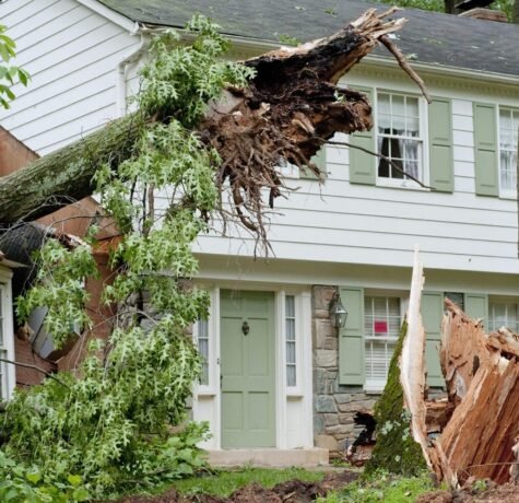 Windstorm damage in NJ