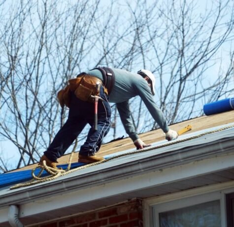 imgi_13_shutterstock_1038430087-scaled-1-1024x684